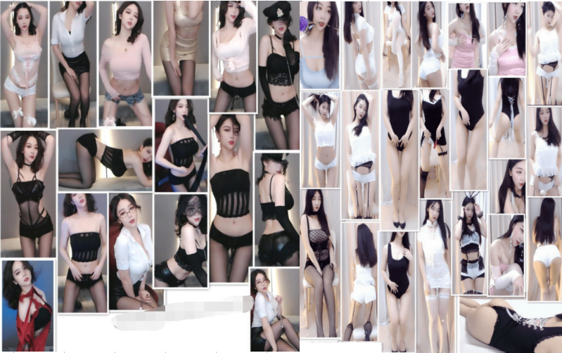 【斗鱼合集】 小糯米团 火箭定制+飞机群 (无水47V+66V+20P)[百度网盘]10G