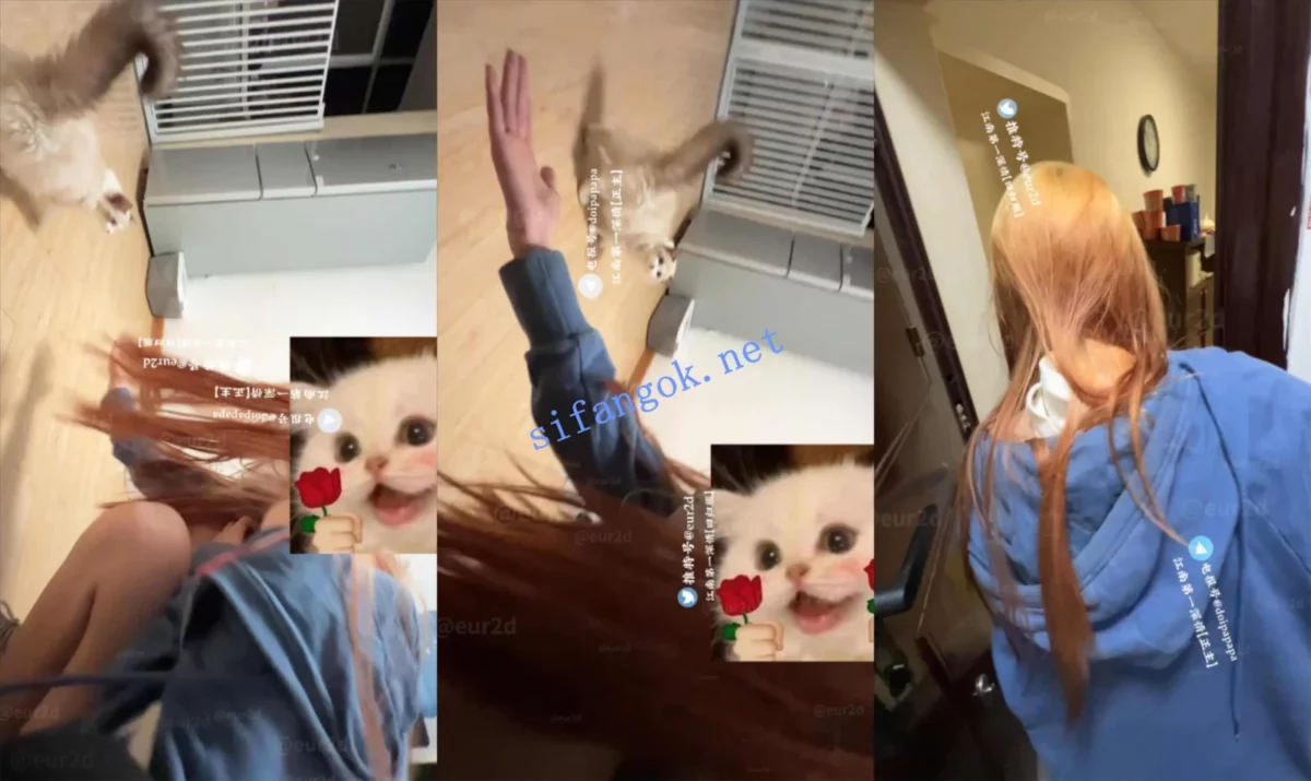 江南第一深情 040号女主 嫩妹！05后颜值主播内射 还是个学生
